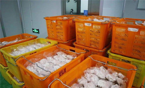 從同安到赤錫,永泰這個農產品加工廠越做越大